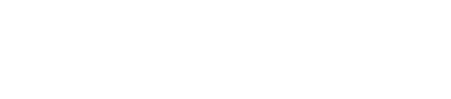 株式会社ストレージ・アセットマネジメントのロゴ